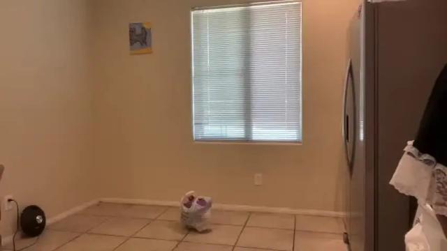 Image 2 of cum2charmxx Stream on Chaturbate on 24 days ago