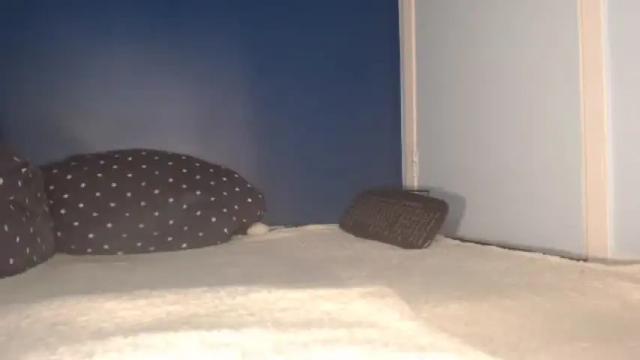 Thumbnail 2, cumeliacummington's Stream at Chaturbate, 12 months ago