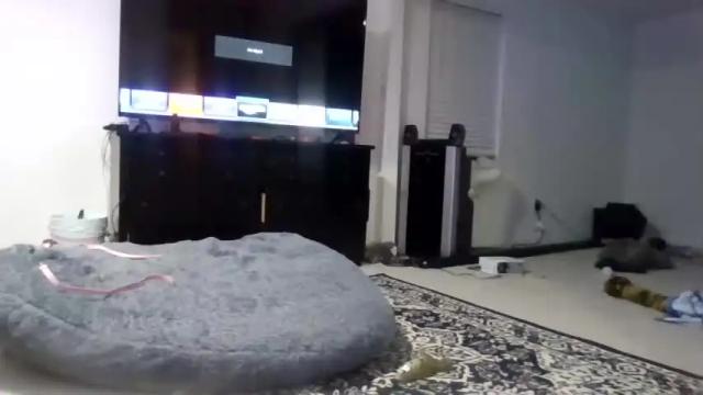 Image 8 of cuminit6869 Stream on Chaturbate on 23 months ago