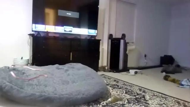 Thumbnail 3, cuminit6869's Stream at Chaturbate, 23 months ago