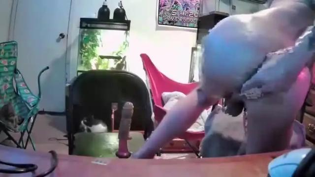 Image 2 of curious_couple405 Stream on Chaturbate on 14 months ago