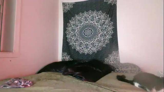 Image 10 of curvybcelinemixe Stream on Chaturbate on 12 days ago