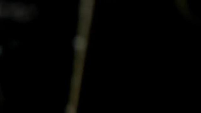 Image 6 of curvypornxxx Stream on Chaturbate on 27 days ago