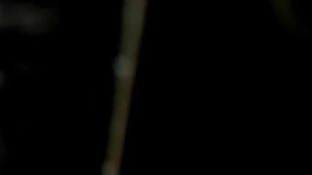 Image 7 of curvypornxxx Stream on Chaturbate on 27 days ago