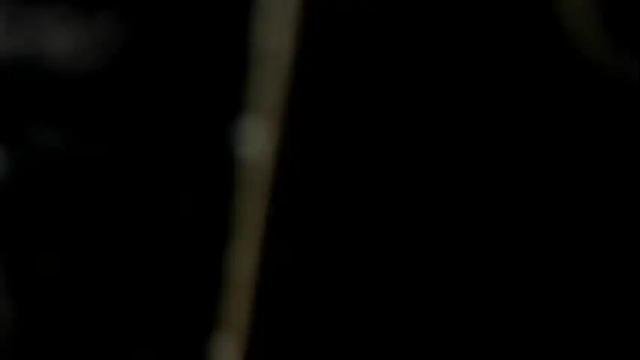 Image 8 of curvypornxxx Stream on Chaturbate on 27 days ago