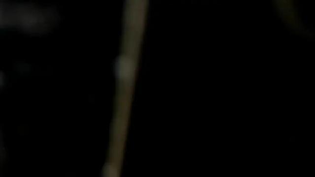 Thumbnail 3, curvypornxxx's Stream at Chaturbate, 21 days ago