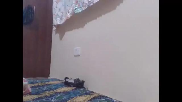 Image 6 of cute_lizah Stream on Chaturbate on 18 days ago