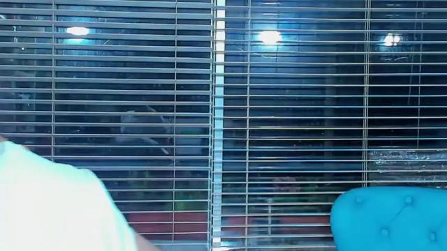 Image 7 of cuteanddesesperate Stream on Chaturbate on 24 days ago