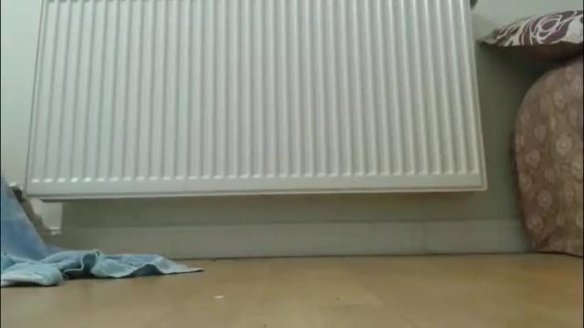 Image 11 of cuteangelx Stream on Chaturbate on 1 month ago