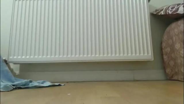 Image 8 of cuteangelx Stream on Chaturbate on 1 month ago