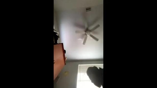 Image 7 of cutecuban18 Stream on Chaturbate on 2 months ago