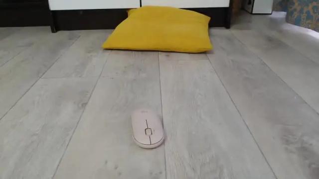 Image 6 of cuteemouse Stream on Chaturbate on 15 months ago