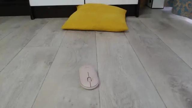 Image 7 of cuteemouse Stream on Chaturbate on 15 months ago