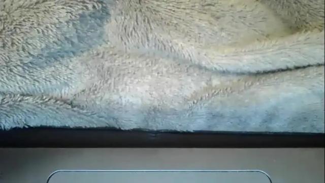 Thumbnail 3, daddysgirlava's Stream at Chaturbate, 2 months ago