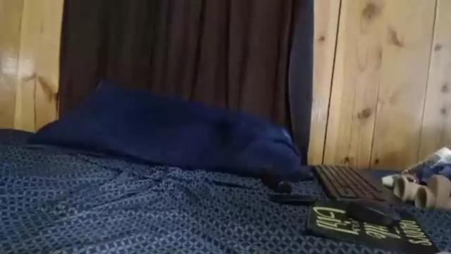 Image 8 of daddyssleepingbeauty Stream on Chaturbate on 11 days ago