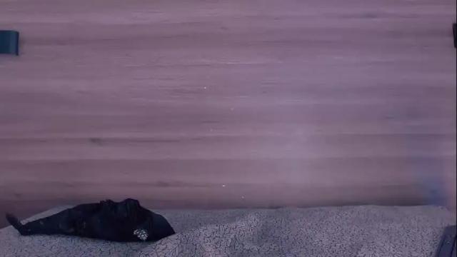 Image 3 of damara_ochoa Stream on Chaturbate on 24 days ago