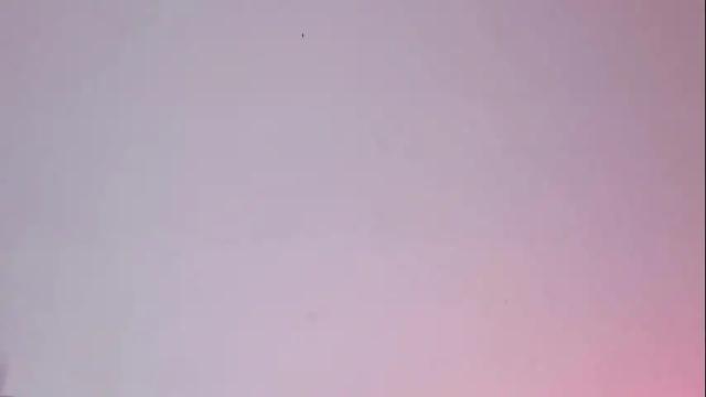 Image 11 of damara_ochoa Stream on Chaturbate on 4 days ago