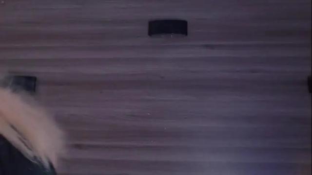 Image 12 of damara_ochoa Stream on Chaturbate on 2 days ago