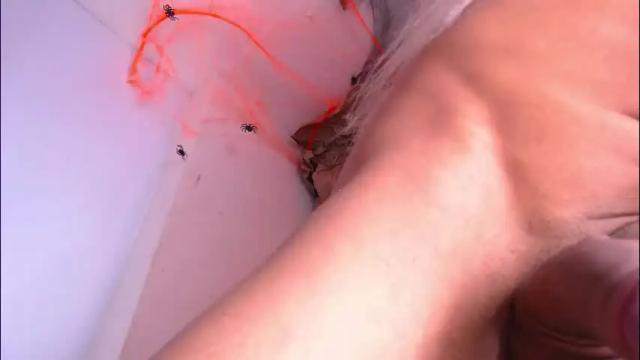 Image 12 of damara_ochoa Stream on Chaturbate on 1 day ago