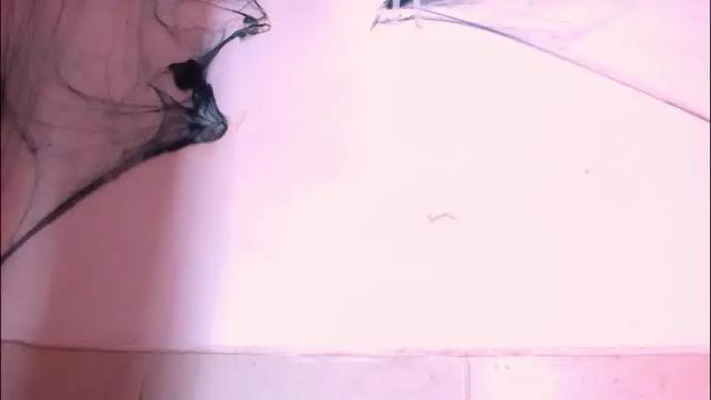 Image 2 of damara_ochoa Stream on Chaturbate on 1 day ago