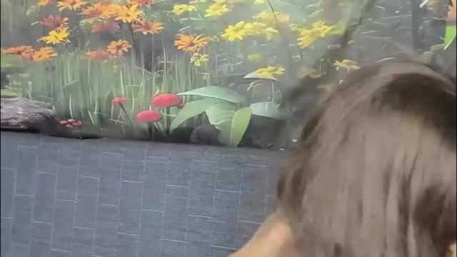 Image 8 of damedefeu Stream on Chaturbate on 11 days ago