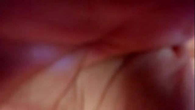 Image 7 of damn_that_booty Stream on Chaturbate on 6 days ago