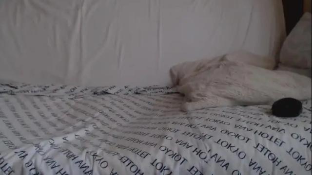 Thumbnail 2, danaperfect's Stream at Chaturbate, 20 days ago