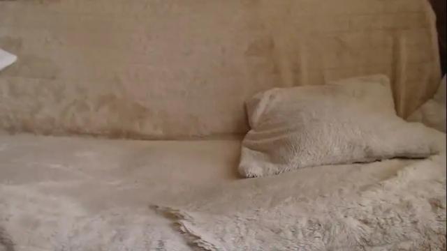 Image 6 of danaperfect Stream on Chaturbate on 14 days ago