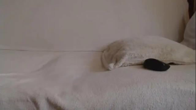 Image 2 of danaperfect Stream on Chaturbate on 1 month ago