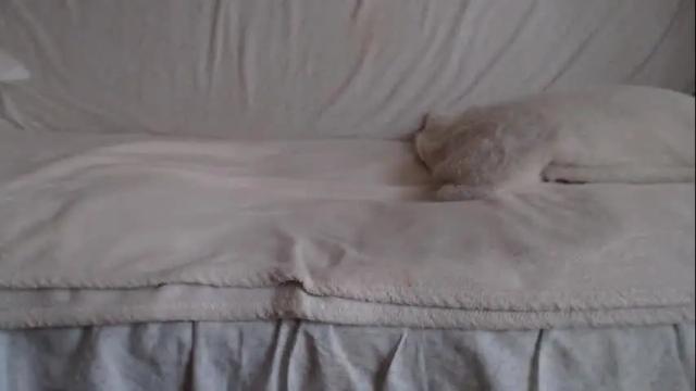 Image 8 of danaperfect Stream on Chaturbate on 25 days ago