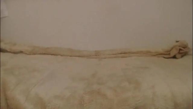 Thumbnail 2, danaperfect's Stream at Chaturbate, 7 days ago