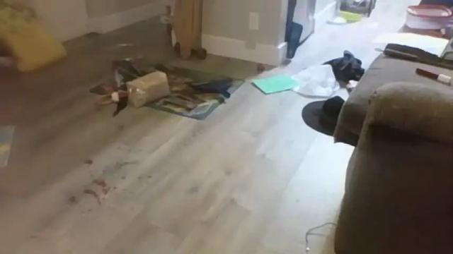 Image 6 of dancing4dollars Stream on Chaturbate on 16 months ago