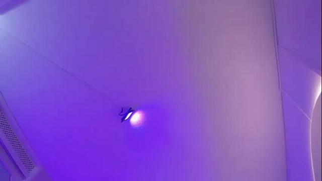 Thumbnail 1, danee_19's Stream at Chaturbate, 2 months ago