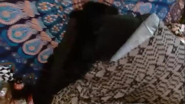 Image 12 of dangerousangel420 Stream on Chaturbate on 19 months ago