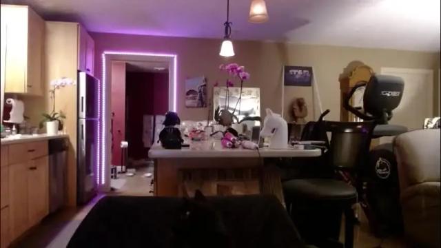 Image 12 of danikawhite69 Stream on Chaturbate on 23 days ago