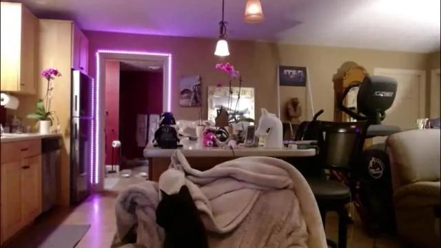 Image 7 of danikawhite69 Stream on Chaturbate on 23 days ago