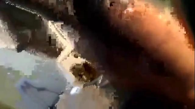 Image 3 of dankshepp Stream on Chaturbate on 3 months ago