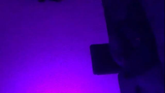 Thumbnail 2, dankshepp's Stream at Chaturbate, 3 months ago