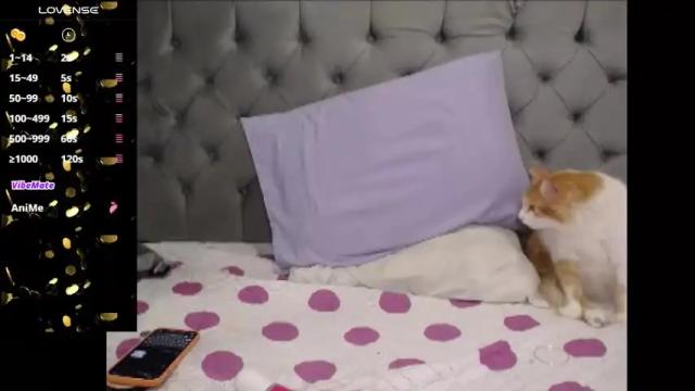 Image 12 of dannafontana Stream on Chaturbate on 1 month ago