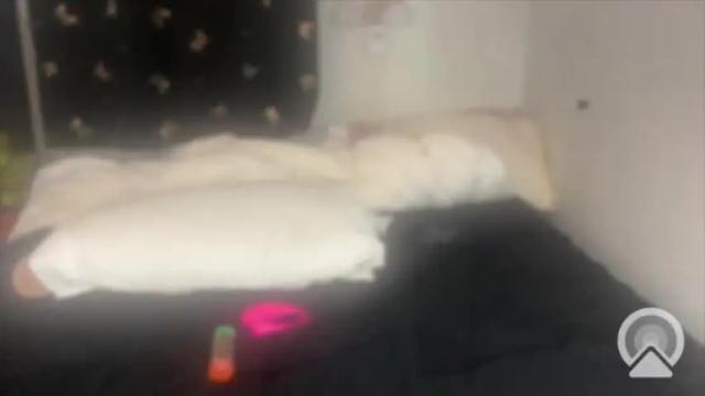 Image 11 of daphnedixon Stream on Chaturbate on 10 months ago