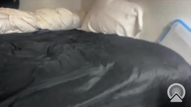 Thumbnail 2, daphnedixon's Stream at Chaturbate, 14 months ago