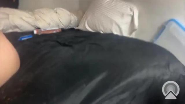 Image 6 of daphnedixon Stream on Chaturbate on 14 months ago