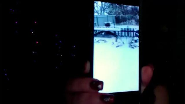 Image 4 of darina_m_ Stream on Chaturbate on 21 days ago