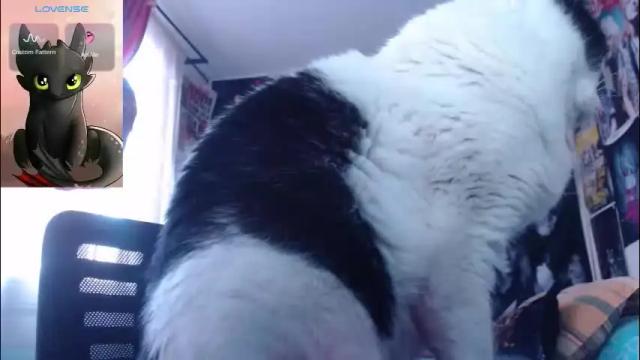 Image 3 of darkness_joones Stream on Chaturbate on 2 months ago