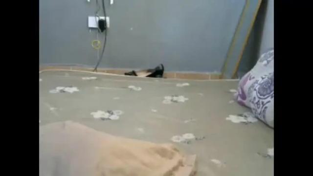 Image 2 of darling_ella Stream on Chaturbate on 13 months ago