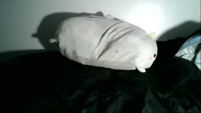 Thumbnail 2, daszler's Stream at Chaturbate, 6 months ago