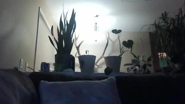 Image 10 of daynadelight293 Stream on Chaturbate on 17 months ago