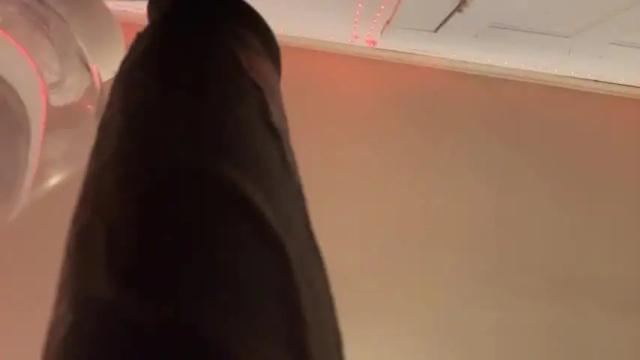 Image 6 of dayqueen1 Stream on Chaturbate on 14 months ago