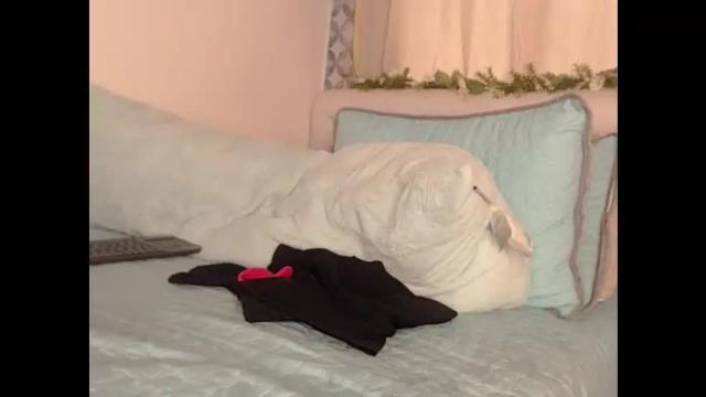 Image 2 of dayse_martinez Stream on Chaturbate on 23 days ago