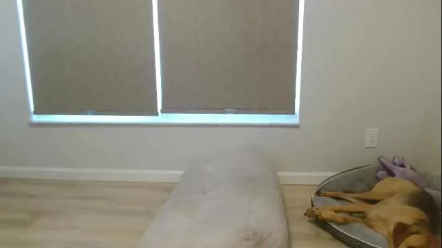 Image 10 of dazeydo Stream on Chaturbate on 3 months ago